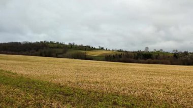 farm fields in spring with yellow vegetation. Hilly rural nature.