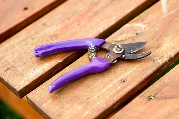 Garden shears lie on a wooden bench. Device for trimming small branches in the garden, vegetable garden.