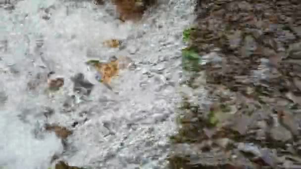 特写小河的湍急水流 — 图库视频影像