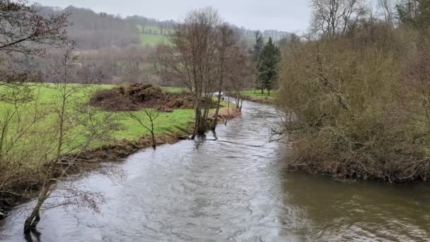 Forest Meandering River Flows Rural Natural Area Hills — Vídeos de Stock