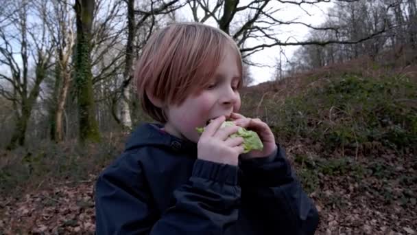 Young Boy Eats Outdoor Sandwich Boy Nine Years Old Recuperating — Video Stock