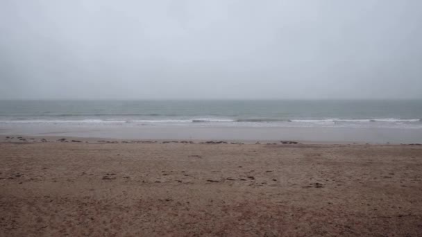 Deserted Ocean Coast Cloudy Gloomy Weather Cold Season — Video