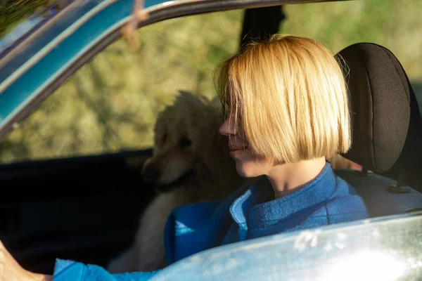 Road Trip Dog Woman Driving Car Large Dog Royal Poodle — Stock fotografie
