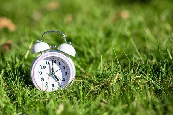 緑の芝生の上の白い色の目覚まし時計 テキスト用の場所 概日リズム 初期の上昇概念 — ストック写真