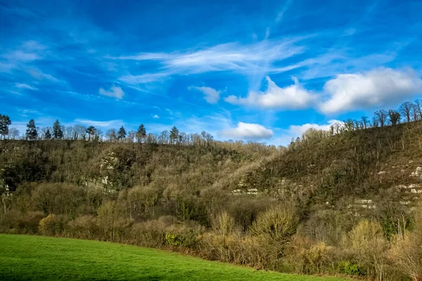 Pré Vert Montagne Avec Arbres Ciel Bleu Avec Petits Nuages — Photo