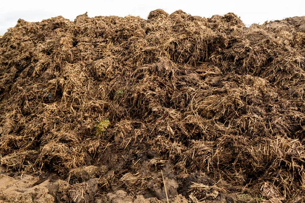 Tumpukan Besar Kuda Atau Kotoran Sapi Fertilizer Untuk Pertanian — Stok Foto