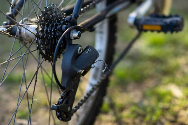 Arka tekerin bisiklet yıldızları. Bisiklet tamiri ve bakımı. Vites değiştir yıldızları.