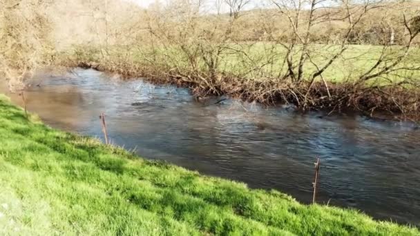 Rzeka Francji Wsi Słoneczny Dzień Brzeg Pokryty Zieloną Trawą Spokojny — Wideo stockowe