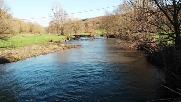 Fransa Kırsal Kesimde Bir Nehir Güneşli Bir Gün Yeşil Çimlerle — Stok video