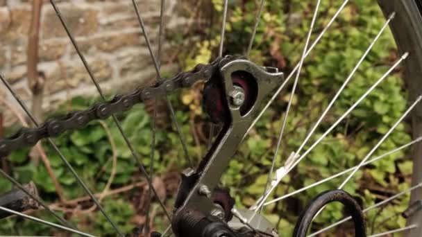 Cadena Bicicletas Rueda Trasera Reparación Bicicletas Restauración Mantenimiento — Vídeo de stock