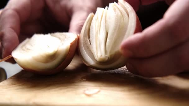 Broken Bulb Man Holding Man Who Starting Rot Onion Cutting — Stock Video