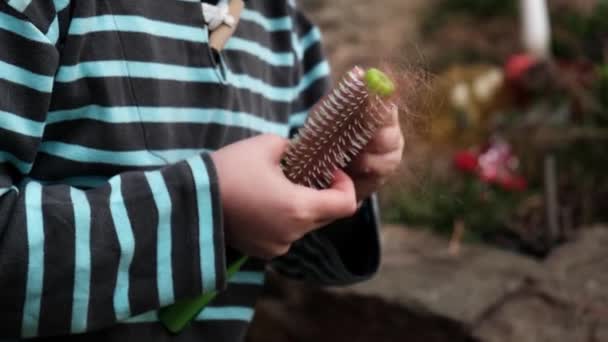 Αγνώριστο Παιδί Καθαρίζει Χτένα Από Πεσμένα Μαλλιά Φροντίδα Μαλλιών Υγιεινή — Αρχείο Βίντεο