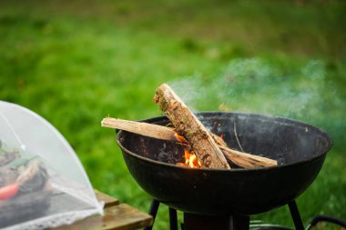 The smoking brazier of a round form. Firewood flares up in the brazier against the background of green grass. The concept of picnic, relaxation, grilling.