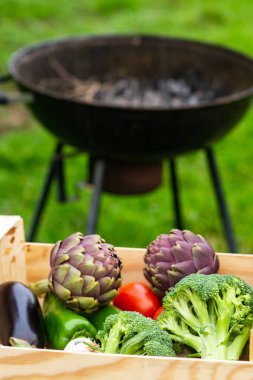 Different whole raw vegetables for grilling on the background of a blurred barbecue grill and green grass. Daylight.