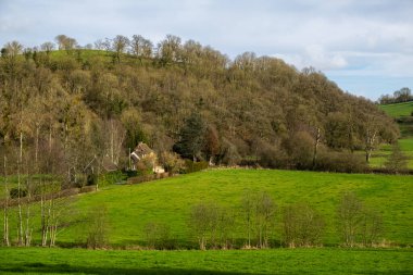 Yeşil tarla ve ağaçlı yüksek tepe. Kırsal kesimde. Fransa 'da Doğa.