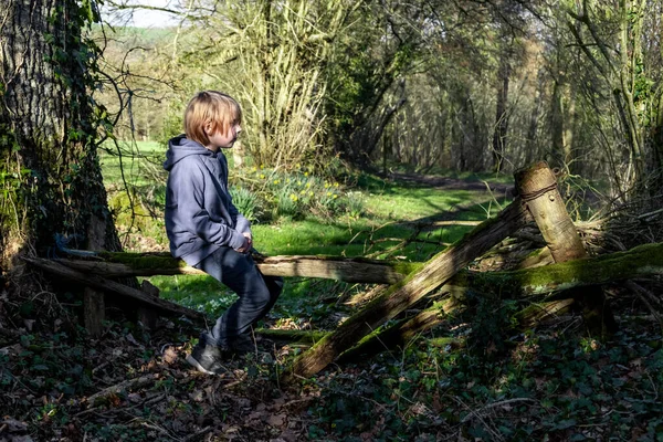 Jeune Garçon Est Assis Sur Une Bûche Dans Forêt Repose — Photo