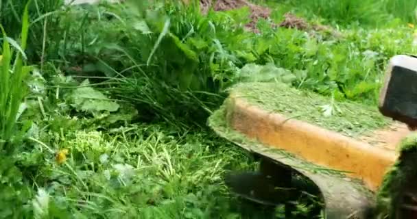 草のトリマーは背の高い草や雑草を切ります 物事を裏庭に配置します 晴れた日 — ストック動画