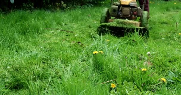 芝刈り機の仕事だ 草のトリマーが乗って草を切ります 裏庭の掃除 — ストック動画