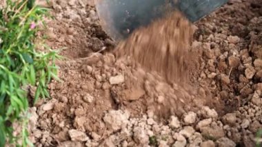 Bir kürekle toprağı kazmak. Çiçek dikmek için çiçek tarlası hazırlıyorum..