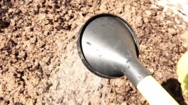 Yeri bir su bidonundan suluyoruz. Bahçıvanlık, bahçıvanlık. Toprak nemli. Birinci şahıs görünümü.