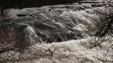 Bir dağ nehrinin fırtınalı akıntısı.