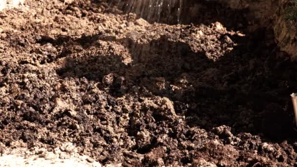 Podlewanie Ziemi Konewki Ogrodnictwo Ogrodnictwo Wilgotność Gleby — Wideo stockowe
