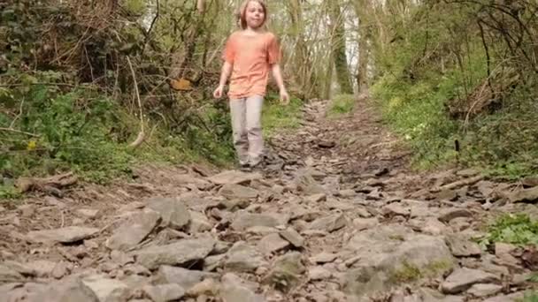 这个男孩在岩石上和溪流上走过森林地区 徒步旅行 — 图库视频影像
