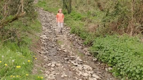 少年は岩や川の上の森林地帯を歩く ハイキング 夏休み — ストック動画