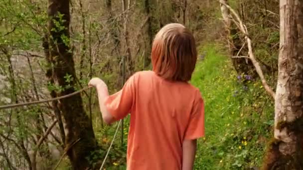 Αγόρι Περπατάει Μέσα Από Δάσος Κρατώντας Φράχτη Πεζοπορία Μεγάλες Βόλτες — Αρχείο Βίντεο