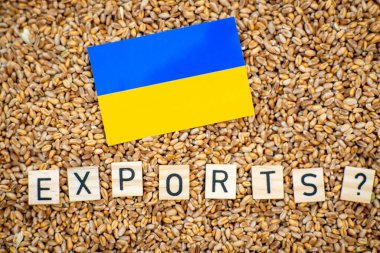 Ukrayna 'nın tahıl ihracatı şüpheli. Buğday tanelerinin arka planında Ukrayna bayrağı ve ihracat kelimesi.