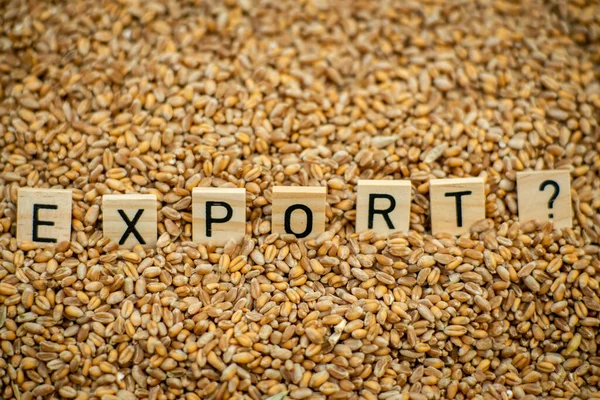 Export grain, wheat concept. The word Export and a question mark on a grain background.