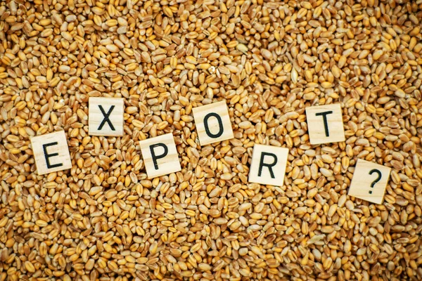 Export grain, wheat concept. The word Export and a question mark on a grain background.