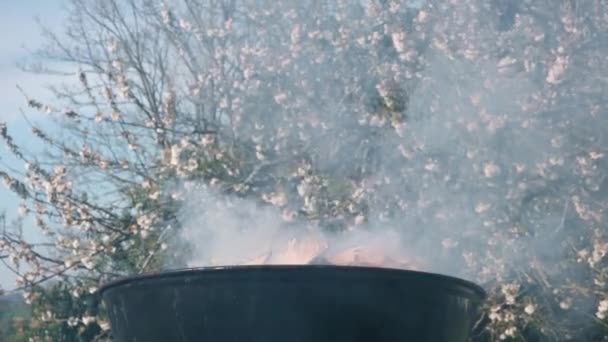 Egy Füstölgő Parázs Egy Virágzó Hátterében Grillételek Előállítása — Stock videók