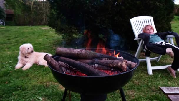 ぼやけた犬と少年の背景に 丸い火鉢が浮かび上がる 裏庭で料理のグリルを調理する準備 — ストック動画