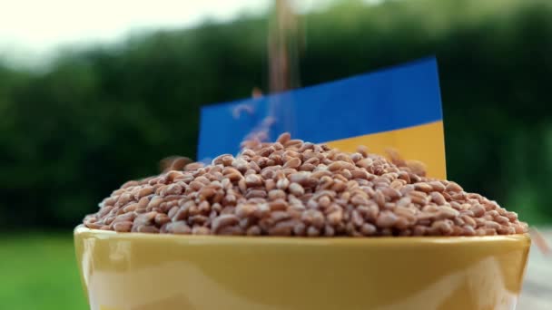 Зерно Наливают Чашу Флагом Украины Концепция Экспорта Зерна — стоковое видео