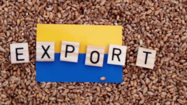Ukrainas Spannmålsexport Kan Ifrågasättas Ordet Export Och Ukrainas Flagga Bakgrund — Stockvideo