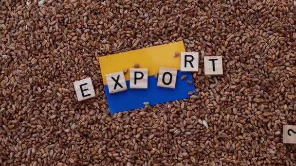 Prohibición Exportación Granos Del Concepto Ucrania Palabra Exportación Bandera Ucrania — Vídeos de Stock