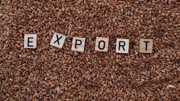 Koncept Zákazu Vývozu Obilovin Slovo Export Pokryto Obilím — Stock video