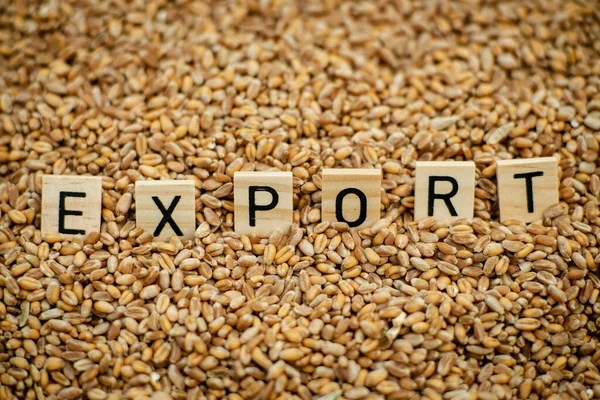 Export grain, wheat concept. Word Export on grain background.