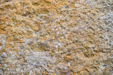 Küflü eski taşın dokusu. Arkaplan olarak kullanılabilir.