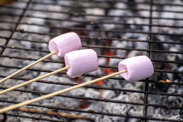 Toasted marshmallows on wooden stick. Delicious grilled treat for kids.