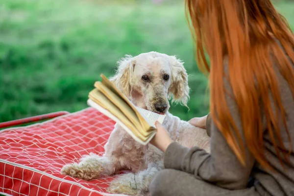 Chica Lee Libro Con Perro Aire Libre Ocio Agradable Vacaciones — Foto de Stock
