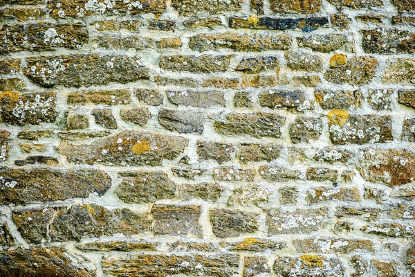 Oude Stenen Muur Met Schimmel Kan Worden Gebruikt Als Achtergrond — Stockfoto