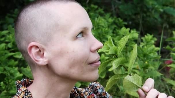 Mujer Calva Hojas Menta Vista Lateral Mujer Armonía Con Naturaleza — Vídeos de Stock