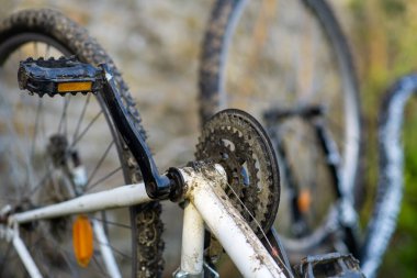 Arka tekerin bisiklet yıldızları. Bisiklet tamiri ve bakımı. Vites değiştir yıldızları.