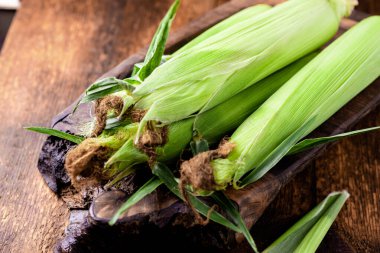 Ahşap arka planda taze çiğ mısır koçanları. Sağlıklı gıda, vejetaryenlik konsepti.