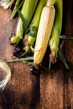 Ahşap arka planda taze çiğ mısır koçanları. Sağlıklı gıda, vejetaryenlik konsepti.