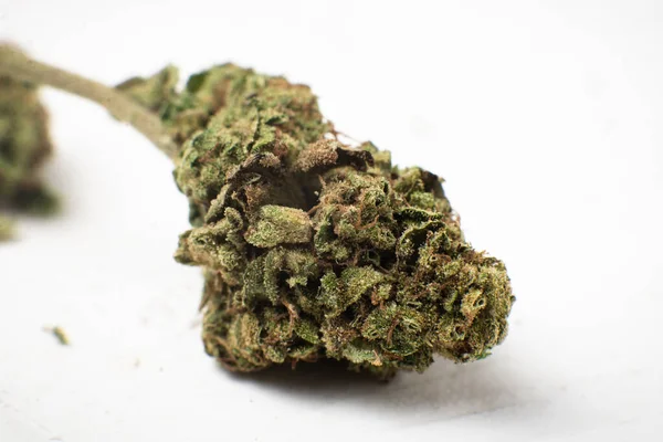 Marihuana Bloemknop Macro Close Een Witte Achtergrond Microdosering Remedie Concept — Stockfoto