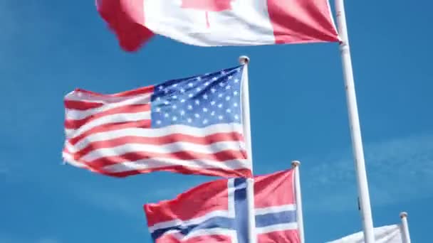 さまざまな国の旗 イギリス カナダ 明るい晴れた天気で青空に対して風にフラッター — ストック動画