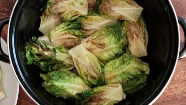Kızarmış Salata Vejetaryen Yemeği Yeşil Salata Parçaları Tencereye Konur — Stok video